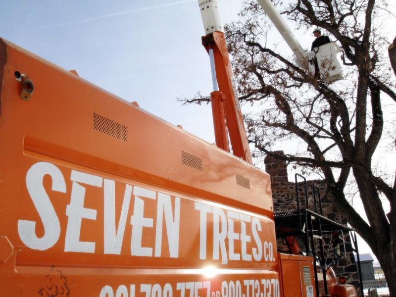 Seven Trees Tree Experts - tree service in Spanish Fork, UT