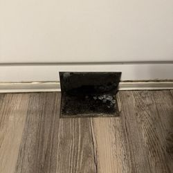 Forest Glenn Apartments - Mold growing under the tiles