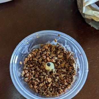Chameleons 101 - Egg delivery, done right!!! - Pet Breeders Near Me - Citrus Heights, California