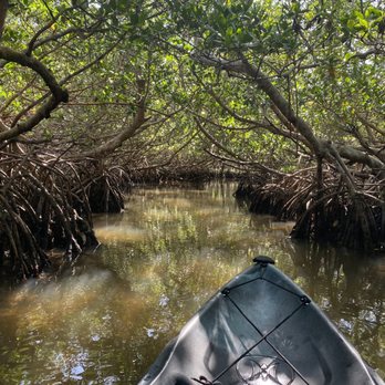 SURFIT USA | Kayaks, Paddleboards & Surf - Surfing Near Me - Sarasota, Florida