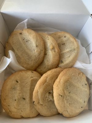 Nomadic Pies by null