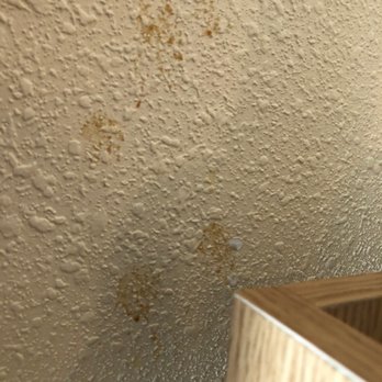 Monterey Surf Inn - Mysterious stain up close, he said it doesn't wash off, but we wiped some off with a baby wipe - Hotels Near Me - Monterey, California Monterey Surf Inn - Mysterious stain up close, he said it doesn't wash off, but we wiped some off with a baby wipe - Hotels Near Me - Monterey, California