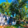Central Colorado Tree Service