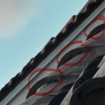 Evans Roofing - Spray, foam excess, or holding capping down - Roofing Near Me - Oakland Park, Florida Evans Roofing - Spray, foam excess, or holding capping down - Roofing Near Me - Oakland Park, Florida
