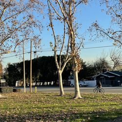 Ontario Centennial Park - #photography
