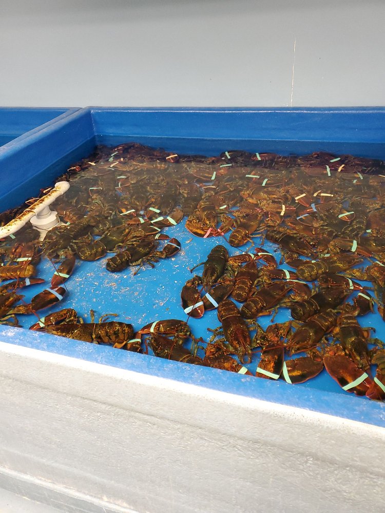 FRESH POND SEAFOOD MARKET & TAKEOUT Updated September 2024 45