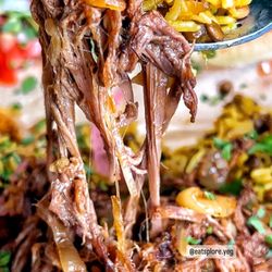 VISH - BBQ Pulled Beef Combo Plate