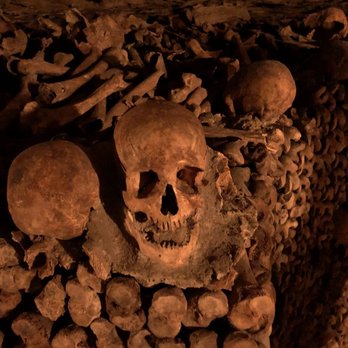 Les Catacombes de Paris - Local Flavor Near Me - Paris, 75 Les Catacombes de Paris - Local Flavor Near Me - Paris, 75