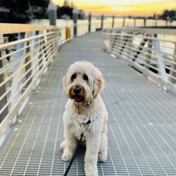 Meydenbauer Bay Park - Sunset x Baci - Parks Near Me - Bellevue, Washington Meydenbauer Bay Park - Sunset x Baci - Parks Near Me - Bellevue, Washington
