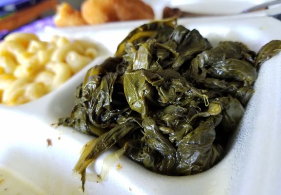 Bailey & Cato by null