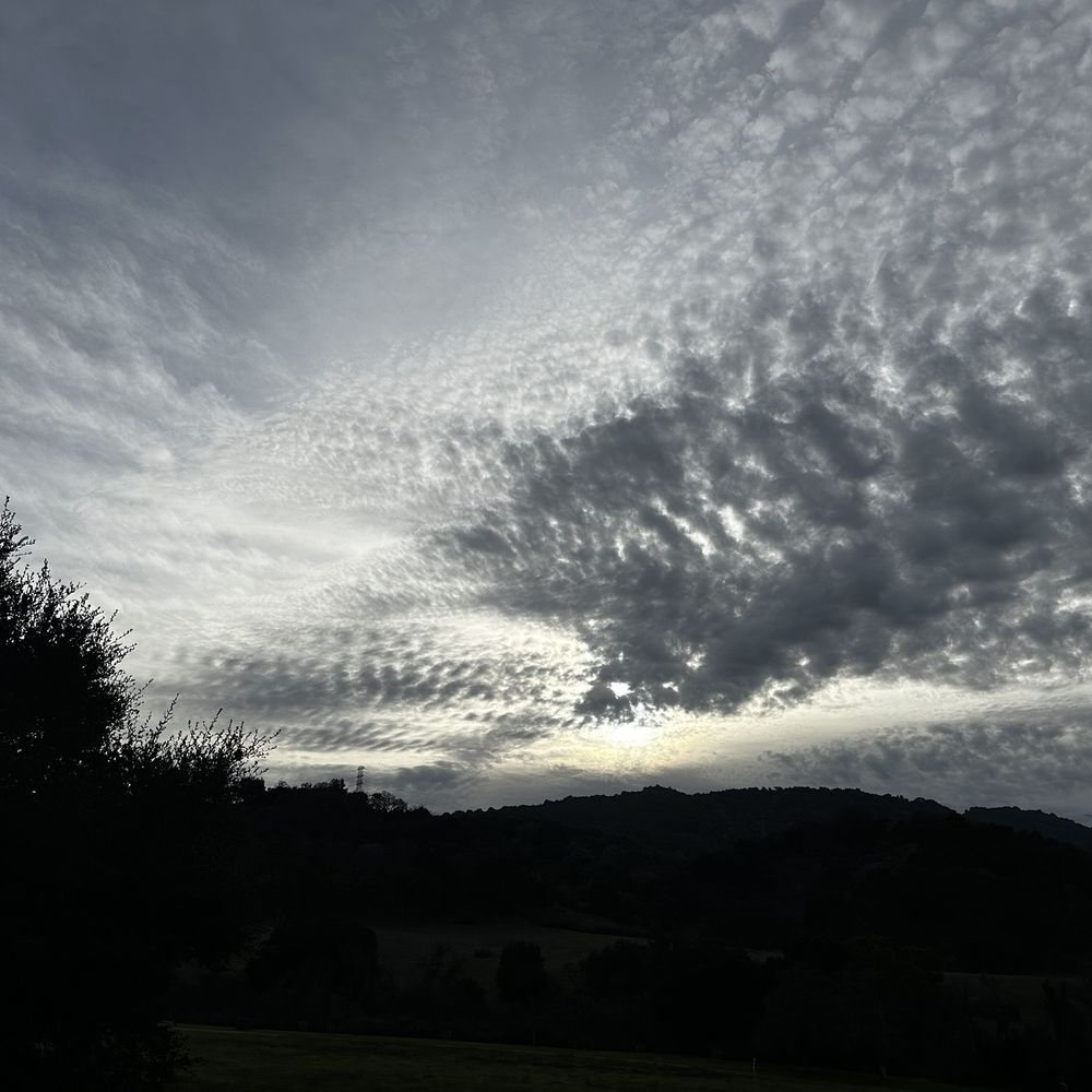Deer Hollow Farm - Kids Activities Near Me - Cupertino, California
