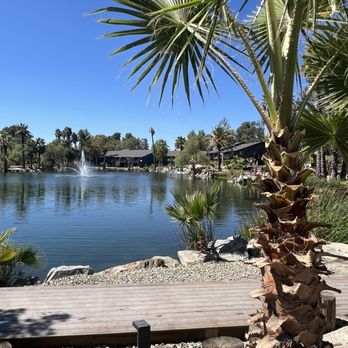 MURRIETA HOT SPRINGS RESORT - Updated December 2024 - 541 Photos & 356 ...