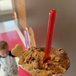 Brown Dog Gelato Co - Doggie bone cookie included.