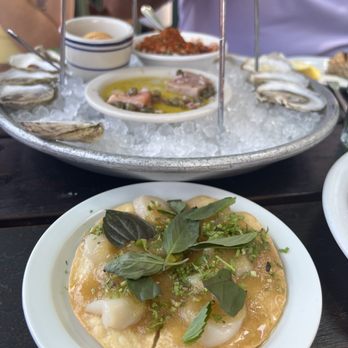Found Oyster - Scallop tostada - Seafood Near Me - Los Angeles, California Found Oyster - Scallop tostada - Seafood Near Me - Los Angeles, California
