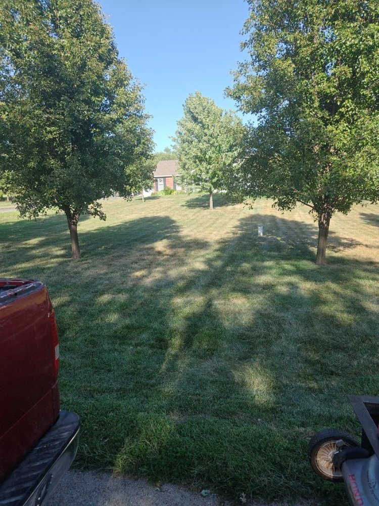 Ced's Enterprises - tree service in Wichita, KS