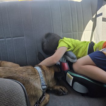 Rainbow Bridge Pets Cremations - Always there for her boys - Pet Cremation Services Near Me Rainbow Bridge Pets Cremations - Always there for her boys - Pet Cremation Services Near Me