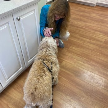 Sweet Divas Chocolates - Getting a Pup Cup from his favorite place. - Specialty Food Near Me - St. Petersburg, Florida