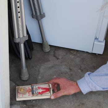 Facility Pest Control - We offer trap setting  programs. - Pest Control Near Me - Simi Valley, California