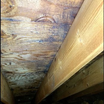 Aspen Environmental - Note the visible brush marks where areas were skimmed with a brush. They missed more than they removed. And this is an easy to reach spot! - Damage Restoration Near Me - Methuen, Massachusetts