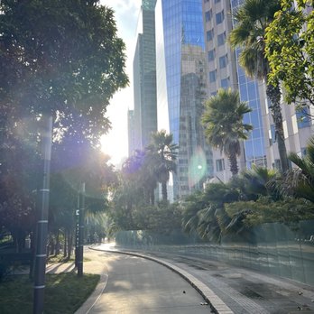 Salesforce Park - Parks Near Me - San Francisco, California Salesforce Park - Parks Near Me - San Francisco, California