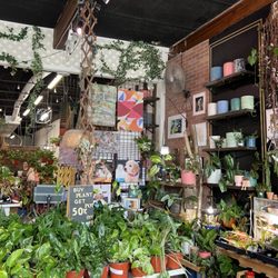 UPshining Houseplant Shop