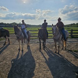 My sisters and I, post-ride. (Horses names L to R: Vanner, Willow, and Happy)