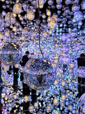 teamLab Borderless: MORI Building DIGITAL ART MUSEUM by null