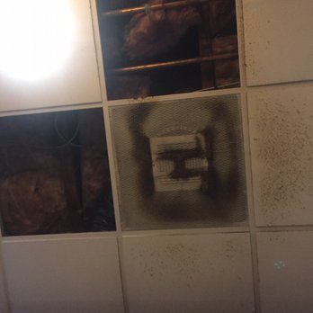 Shogun - Missing ceiling tiles exposing insulation wrapped duct work and a vent caked in discussing moss type fuzz about 3 inches thick! - Sushi Bars Near Me - San Marcos, California