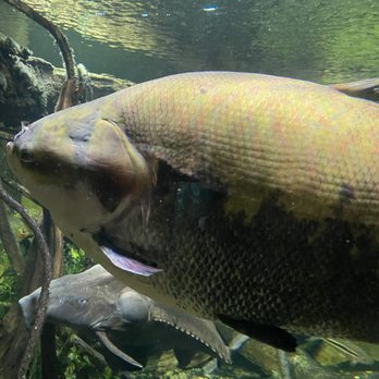 New York Aquarium - Zoos Near Me - Brooklyn, New York