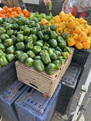 Forest Hills Greenmarket by null