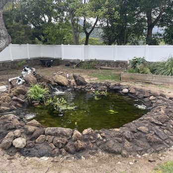 Waikiki Aquarium Service - Aquarium Services Near Me