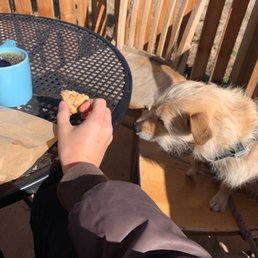 Cinnamon pecan scone and hot coffee