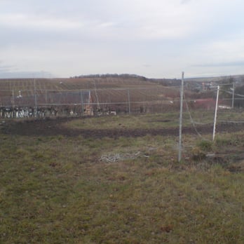 Pferdekoppel Mainstockheim - Soccer Near Me - Mainstockheim, BY Pferdekoppel Mainstockheim - Soccer Near Me - Mainstockheim, BY