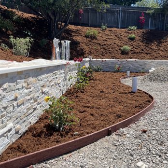 Flores Artscape - Finished rose bed on pool deck - Landscaping Near Me - Los Angeles, California