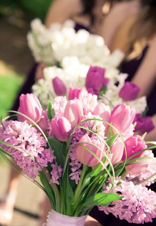 AVANT GARDE Updated August 2024 548 W Washington St, Sequim