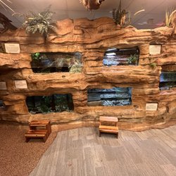 All sorts of cool animals for the littles to see
