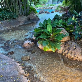Discovery Cove - Amusement Parks Near Me - Orlando, Florida Discovery Cove - Amusement Parks Near Me - Orlando, Florida