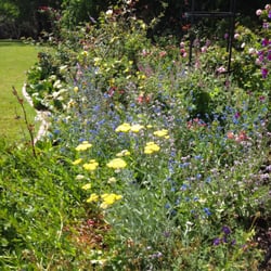 Parnell Rose Gardens