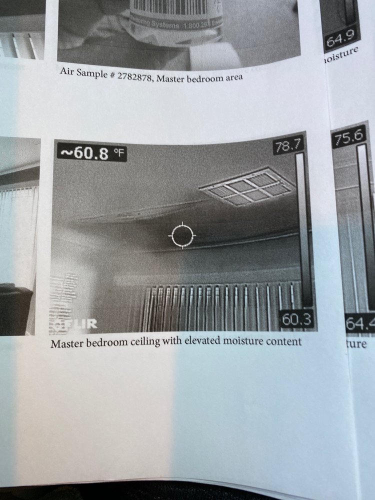 LANTANA PROPERTY MANAGEMENT EXPERTS Updated May 2024 40 Photos