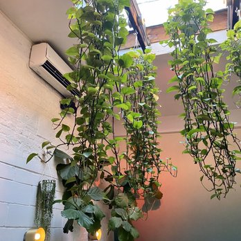 Di An Di - Vietnamese Near Me - Brooklyn, New York Di An Di - Vietnamese Near Me - Brooklyn, New York