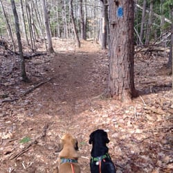 Horton Woods - Trails are well marked
