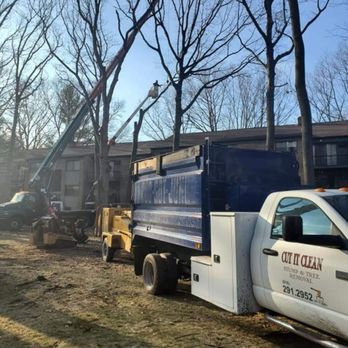 Cut It Clean Stump & Tree Removal - Tree Services Near Me - Kent City, Michigan Cut It Clean Stump & Tree Removal - Tree Services Near Me - Kent City, Michigan