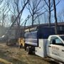 Photo of Cut It Clean Stump & Tree Removal