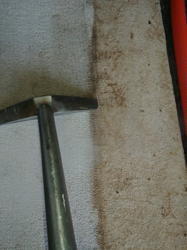 ABSOLUTE BEST CARPET CLEANING Updated October 2024 Montrose