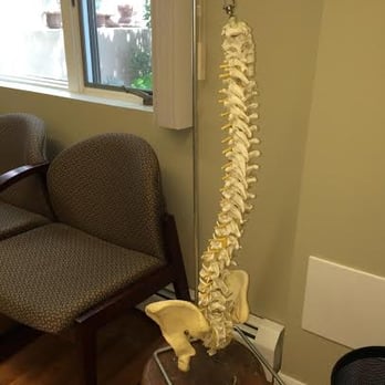 Allen S Rothman, DC - Chiropractors Near Me - Brooklyn, New York Allen S Rothman, DC - Chiropractors Near Me - Brooklyn, New York