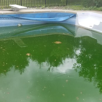 Blue Dream Pool - Pool Cleaners Near Me - Flemington, New Jersey