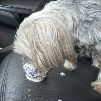Culver's - My pup's favorite restaurant because he gets a pup cup. - Burgers Near Me - Westfield, Indiana