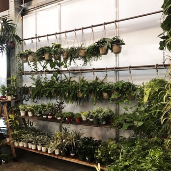 Green Acres Nursery & Supply - Nurseries & Gardening Near Me - Rocklin, California Green Acres Nursery & Supply - Nurseries & Gardening Near Me - Rocklin, California