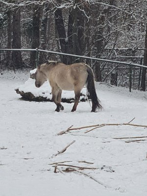 Hellabrunn Zoo by null