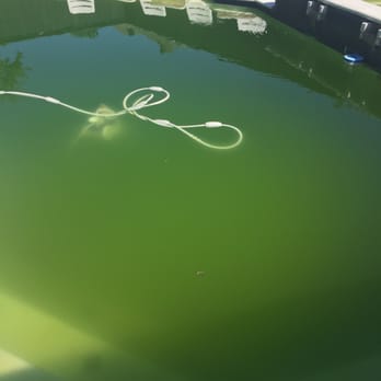 JR's Pool Service - New costumer.  2016 - Pool Cleaners Near Me - Plano, Texas